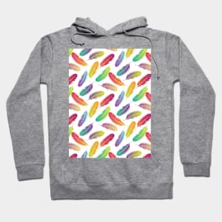 Multi Color Feathers Pattern Hoodie